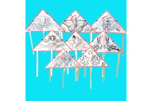 VAIPI 10 PCS DIY Color Filled Kite for Kids Kite Making Kit Bulk, Painting Kites,Decorating Coloring Kite Party Pack,Colorful Life Kite for Kids & Adults, Extremely Easy to Fly Kite, Best Kite for Beginner