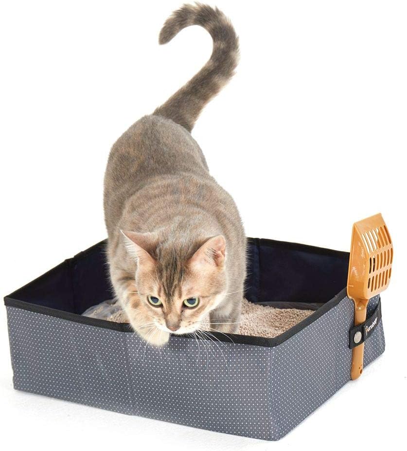 flat litter box