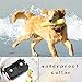 Dog Training Collar, Training Shock Collar-Waterproof Receiver Collar with Power Button for Dogs & Cats by IB-SOUND