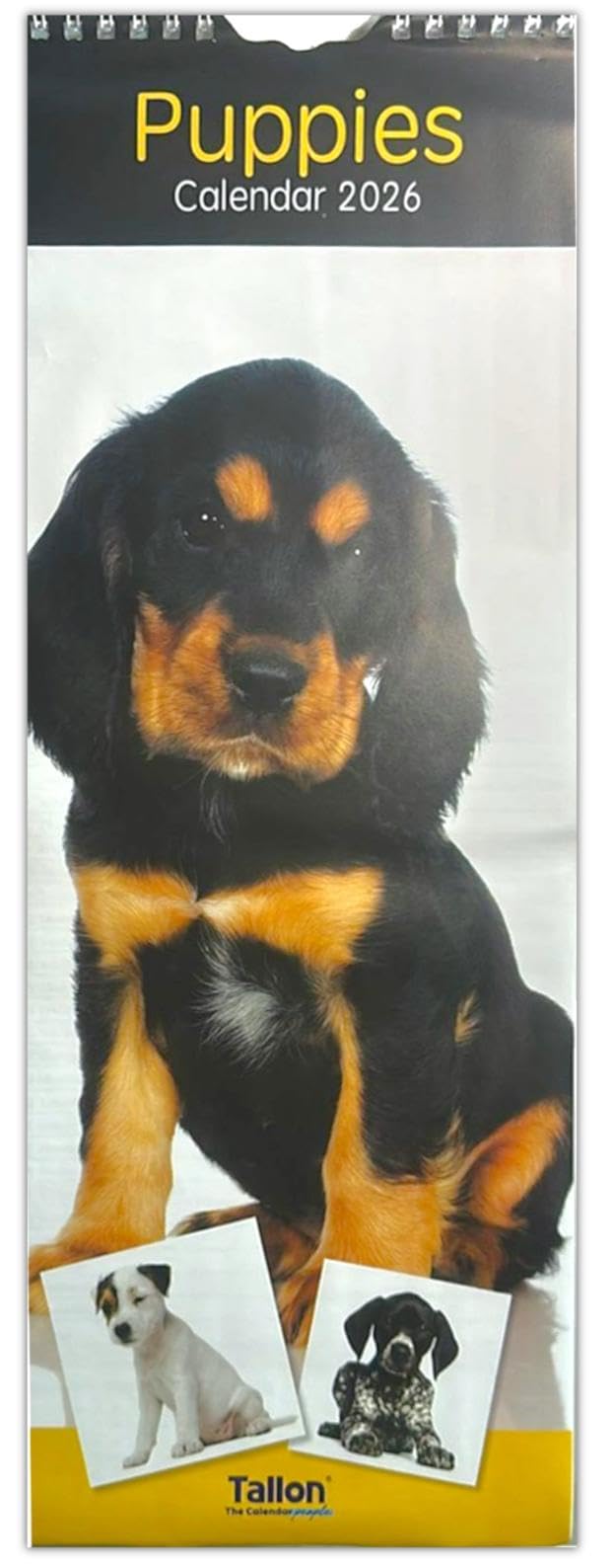 PSO 2026 Super Slim Month to View Spiral Bound Hanging Wall Calendar Home Office (Puppies)