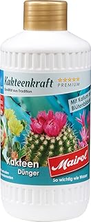 Mairol Kakteenkraft Kakteen-Dünger Liquid 500 ml