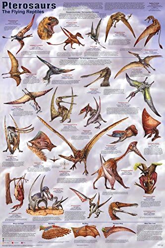 Pterosaurs Deluxe Laminated Poster