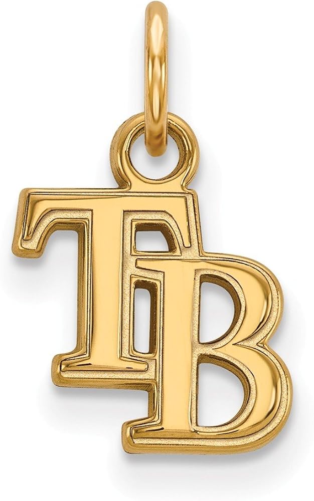 Amazon Com Roy Rose Jewelry 10k Yellow Gold Mlb Logoart Tampa Bay