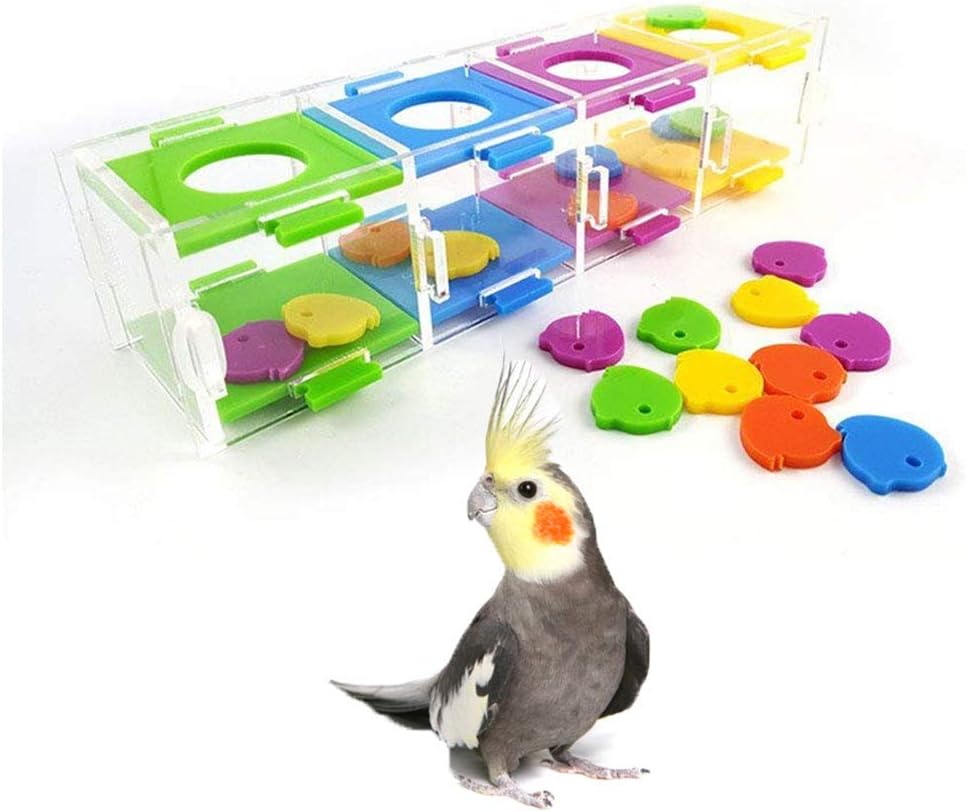 interactive toys for cockatiels