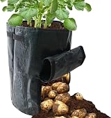 RAM 4 Pack 7 Gallon Potato Grow Bags for Vegetables, Green Polyethylene view 3