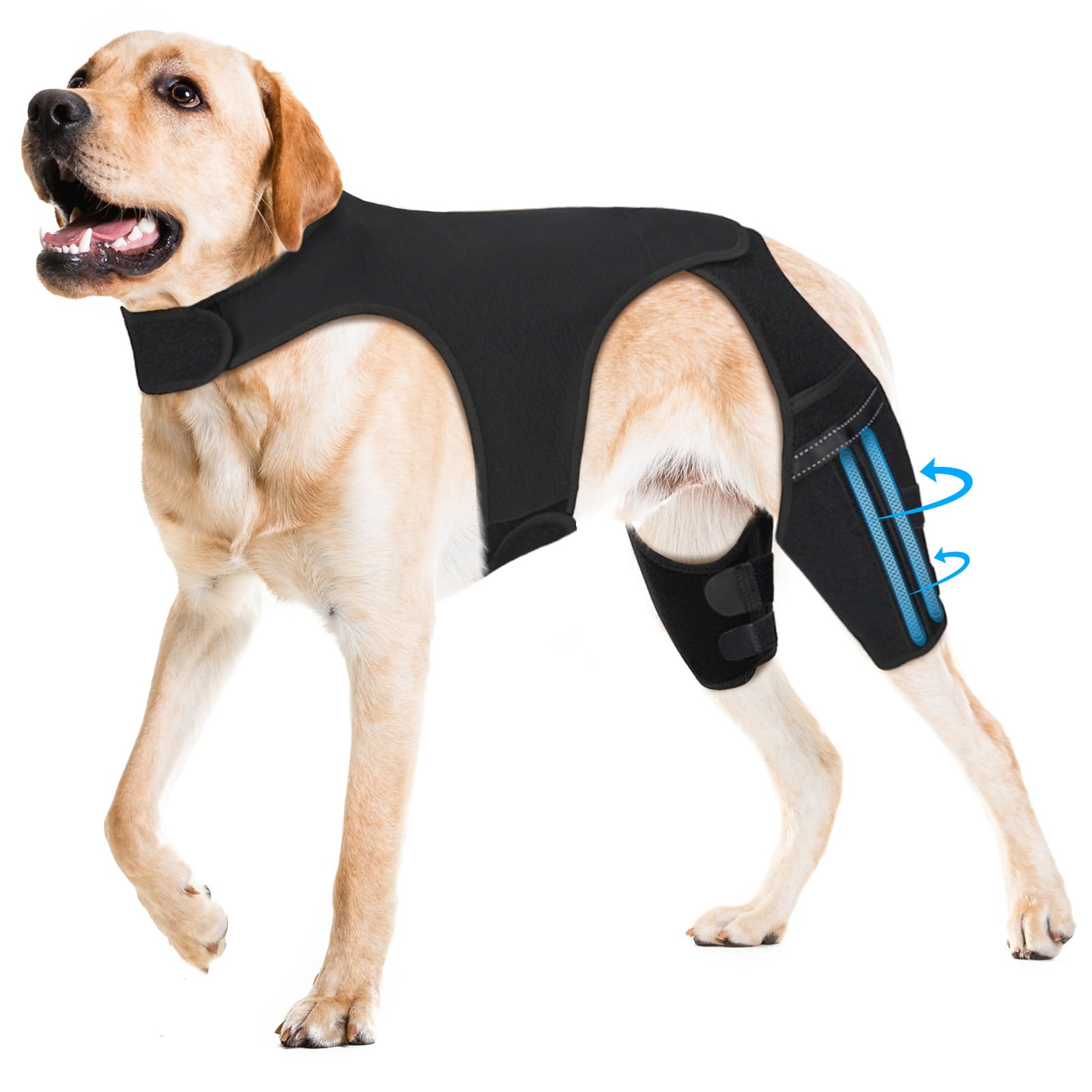 Photo 1 of Dog Knee Brace ACL Brace for Dogs Rear Leg & Hip Support Solution to Reduce Joint Pain and Muscle Sore
