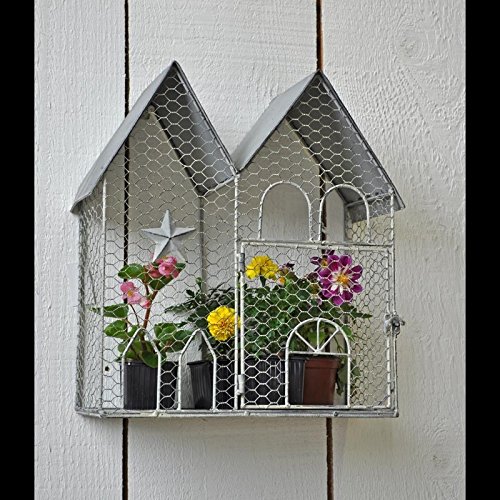 Jaula de plantas: Amazon.es: Jardín
