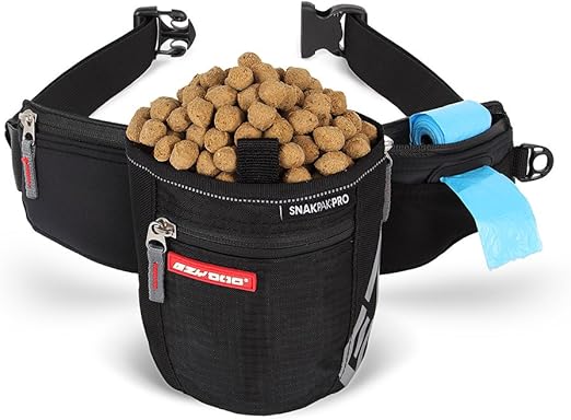 small young dogs for adoption