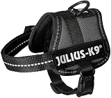 Julius-K9 Powerharness 3XS Baby Anthracite Chest 29-36 cm 0.8-3 kg view 6