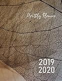 2019 2020 monthly planner: two year planner big size 8.5