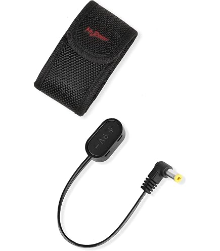 Amazon.com: VOX VFS3 3-Button Footswitch for Mini Go Amps