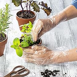 Comfy Package 250 Count Disposable Poly Plastic