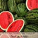 100 Seeds, Watermelon "Cal Sweet" (Citrullus lanatus) Seeds by Seed Needs