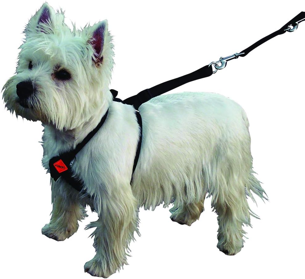 Kumfi Canine Stop Pull Harness Size, Small Amazon.co.uk Pet Supplies
