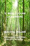 Il brille dans la Lumière: Journal d'une médiatrice des plans invisibles (French Edition) by Rachel Major