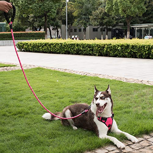 Poohoo 2 Pack Dog Leashes, 5 FT Heavy Duty Pet Leash with Comfortable Padded Handle and Highly