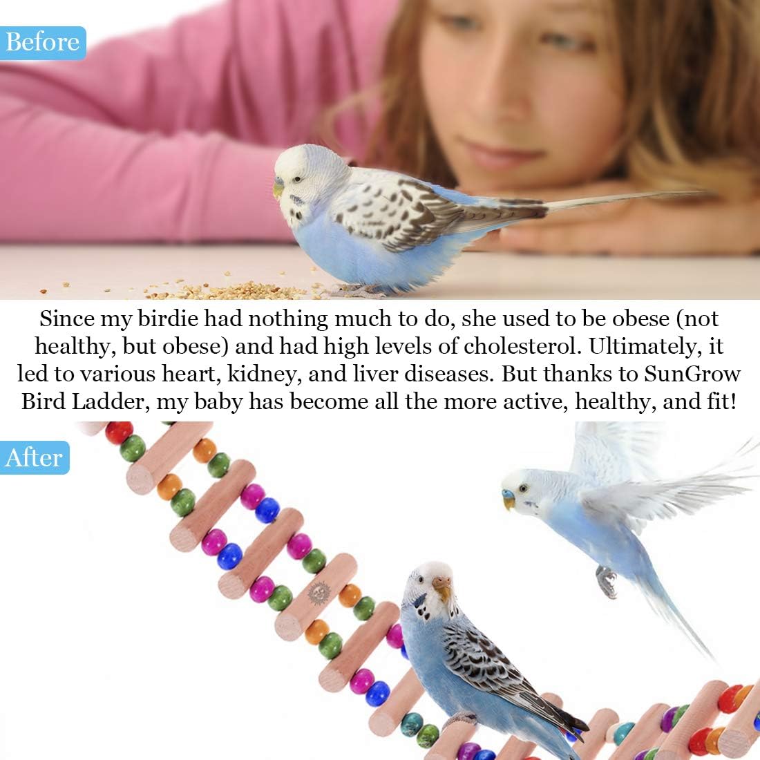 SunGrow Bird Ladder Bridge, 20 Inches Long, Helps Birds with Balance, Made with Raw Wood and Edible Dye, Easy Installation, Bright, Durable and Flexible, Suitable for Small to Medium Birds, 1 Piece : Pet Supplies