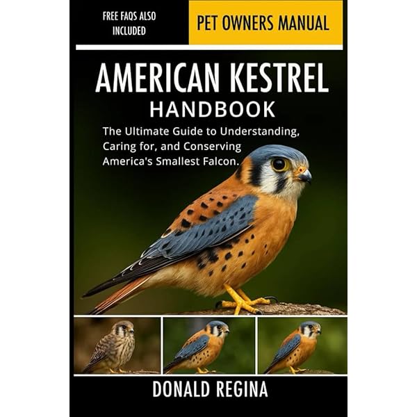 Amazon.com: American Kestrel: Pint-Sized Predator: 9780878426362
