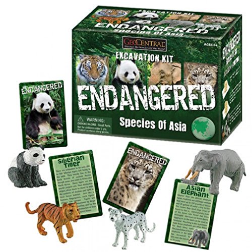 Endangered Species of Asia Excavation Kit Set of 4 Animals