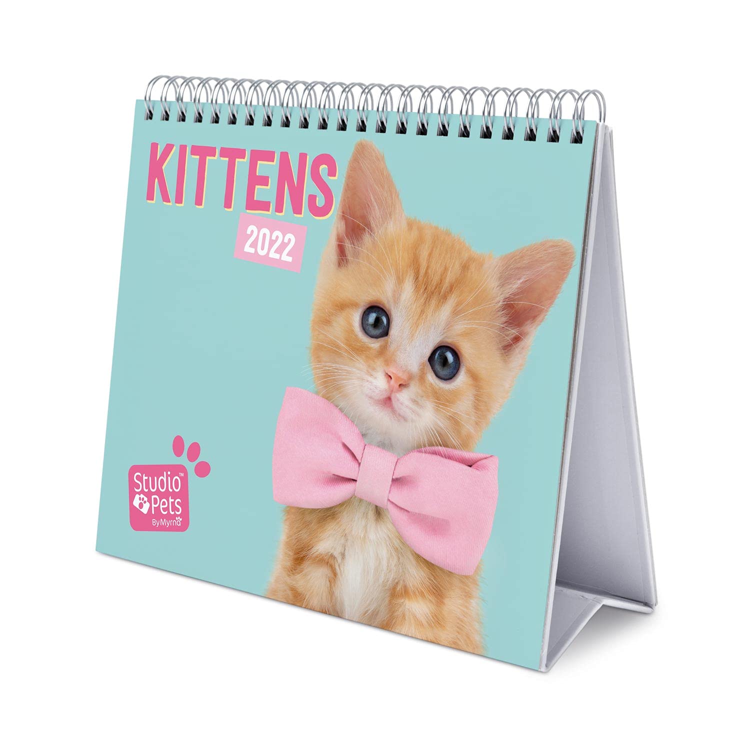 Grupo Erik Official Studio Pets Cats Calendar 2022 - Desktop Calendar 2022 Cats Desk Calendar 2022-12 Month 2022 Planner, Kittens Blue, CS22012