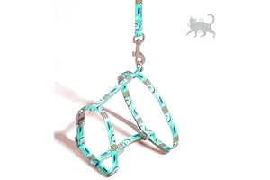 WADY Cat Harness and Leash Set for Walking Escape Proof, Adjustable Pet Harness for Kitten and Small Dogs, Adjustable Cute Ca