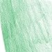 Faber-Castell Polychromos Artists' Single Pencil - Colour 266 Permanent Green