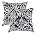 TreeWool Damask Accent Spring Summer 18x18 Set of 2 Decorative Throw Pillow Covers 100% Cotton Home Decor Pillowcases for Sofa Couch (Black)