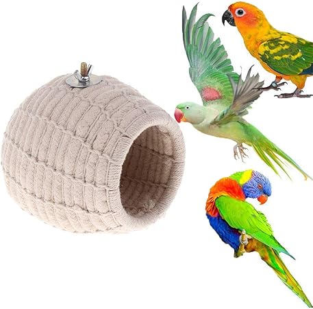 budgie bird breeding