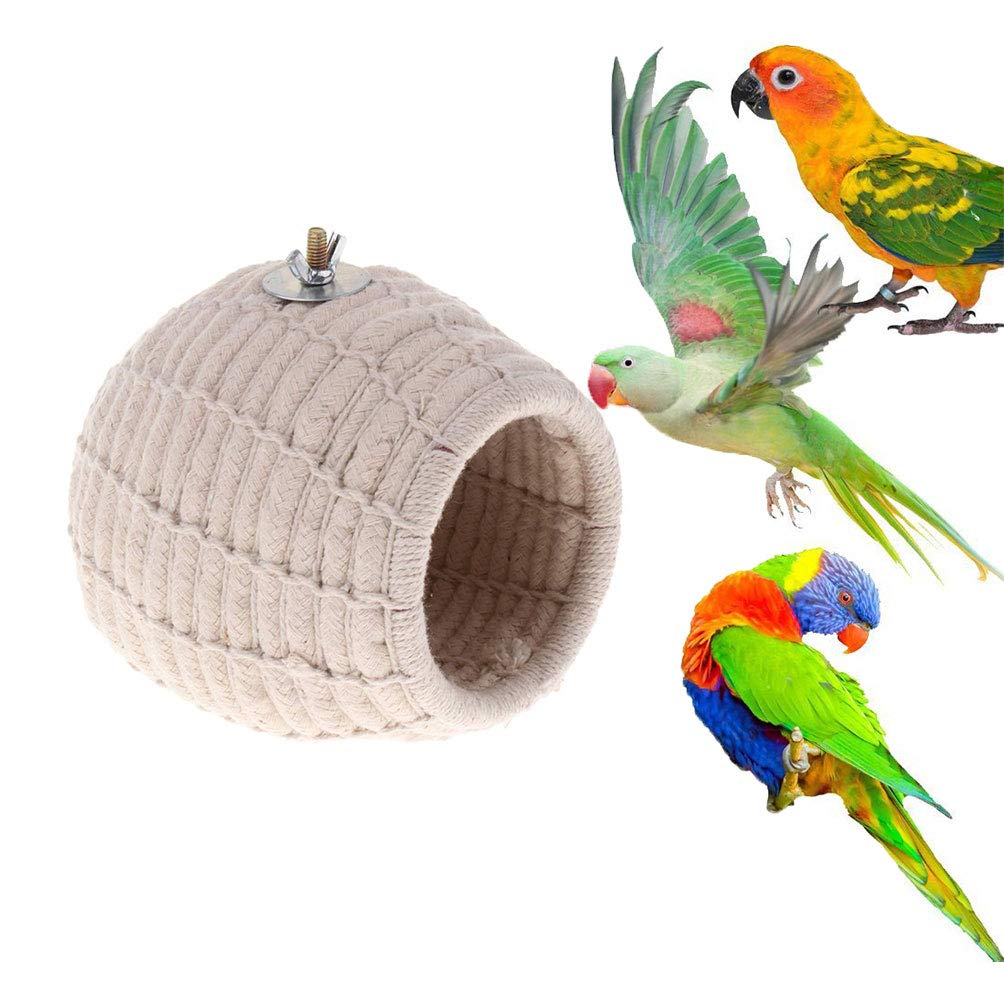 hatching bird toy