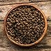 Earthborn Holistic Adult Vantage Dry Dog Food