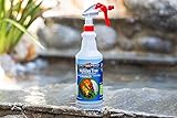 Holiday Tree Fire Retardant Spray