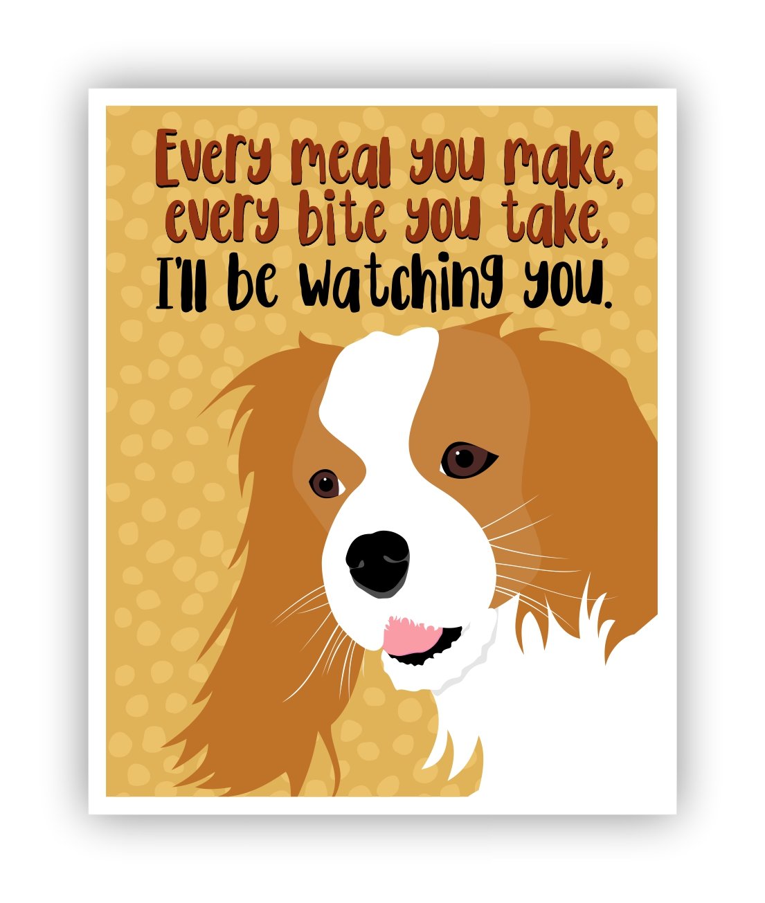 funny king charles cavalier pictures