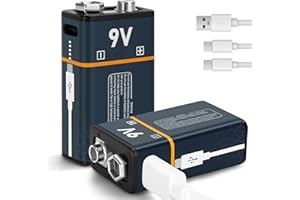 seyyen Rechargeable Lithium Batteries 9V with 4 in 1 USB Charging Cable,650mAh 9 Volt Li-ion Battery for Smoke Detector,Metal Detector,Microphone(2Pcs)