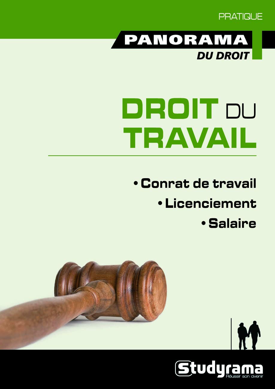 Droit Du Travail Panorama Du Droit Contrats De Travail Representation Du Personnel Statut Collectif Du Travail French Edition Dedessus Le Moustier Gilles 9782759010196 Amazon Com Books