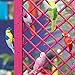 Talking Tables Bird Décor | Great For Tropical Party, Luau Party, Hawaiian Party, Birthday Party And Kids Party | 6 Pack