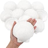 WeDoSoy 10PCS Large Natural Scallop Shells, 4''-5'' Large Shell for Crafts | DIY Painting, Baking and Beach Wedding Decorations - Large White Seashells Bulk for Ocean Themed Parties and Home Decor