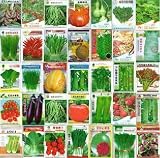 HOO PRODUCTS - 100pcs Vegetable seeds wholesale and different vegetable seed family potted balcony garden four seasons pl Brand New !