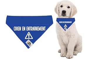 Foulard Bandana pour chien réactif (ou kit avec manchon de laisse) CHIEN EN ENTRAÎNEMENT se glisse sur le collier 3 grandeurs