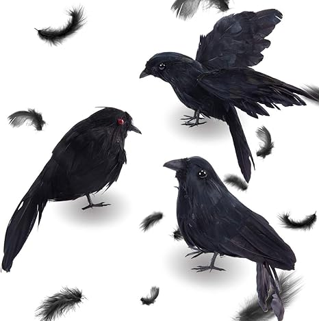 Amazon Co Jp Pamase ブラック 3pcs 鳥おもちゃ 模擬カラス いたずらグッズ パーティーグッズ 防鳥防獣対策 カラスよけ カラス専用退治器 生き生き ハロウィーン道具 ファンシードレス マスカレード ハロウィーン ホビー