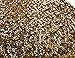 PrettyGuide Women Shimmer Glam Sequin Embellished Sparkle Tank Top Vest Tops ,Gold,Us Size -Medium, Asian Size- L