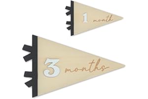OENIZI Daisy 3D Baby Monthly Milestone, Wooden Baby Milestone Signs, Monthly Milestone Wood Discs, Baby Milestone Discs (Flag)