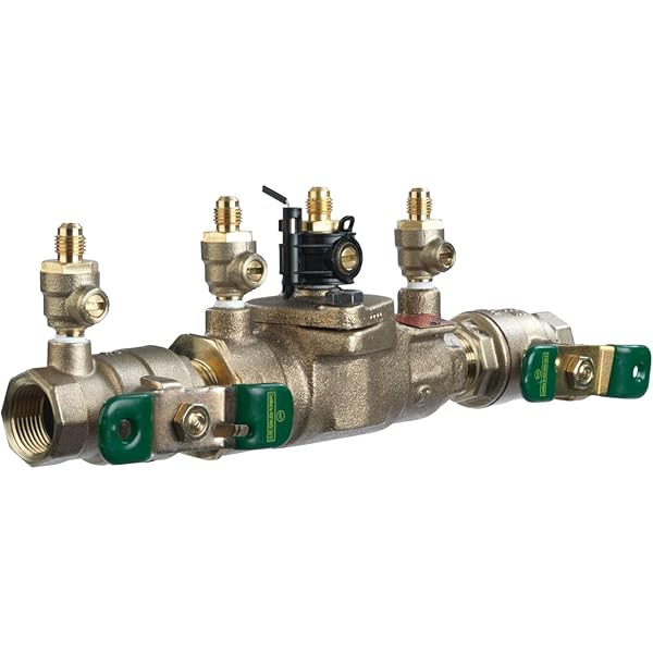 Amazon.com: Watts 007M2QT 1-1/4