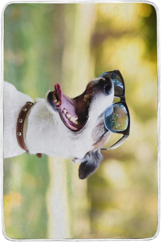 cool dog wearing sunglasses