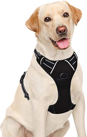 dog walking harness amazon