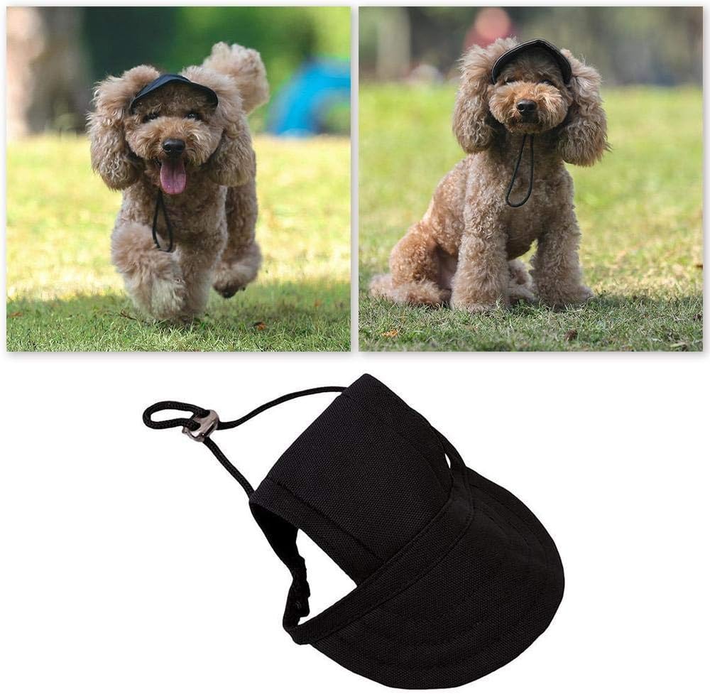 Clara Tracy Mode Haustier Hunde Sport Baseball Hüte Kappen Leinwand