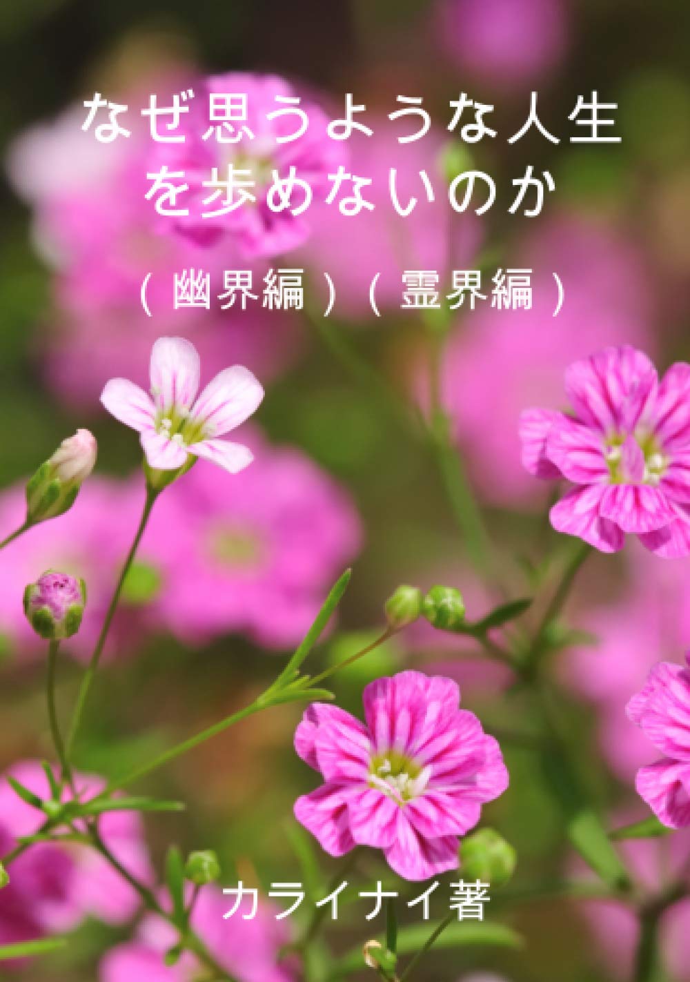 なぜ思うような人生を歩めないのか 幽界編 霊界編 カライナイ 本 通販 Amazon