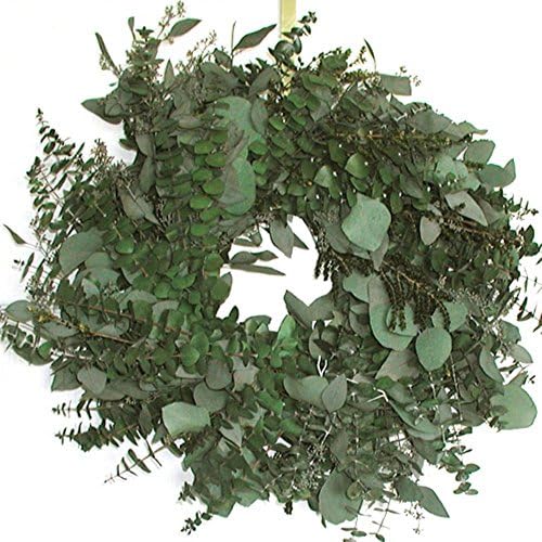 17 in. Emerald Bay Wreath