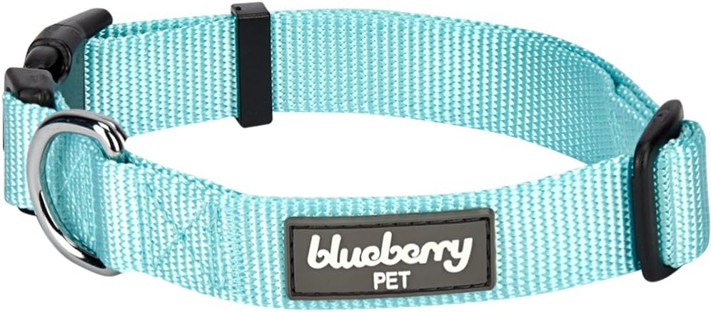 Best Blueberry Collar 3M