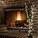 Twinkling LED Fairy String Lights - Fully Waterproof, Indoor Outdoor 39ft 100 Bulb, Standard Plug In + Battery Powered, Warm White Copper Wire Decorative Lighting with Remote Control