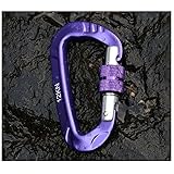Hanxue D Shape Pet Buckle Camping Fishing Hiking Hook Carabiner Keychain